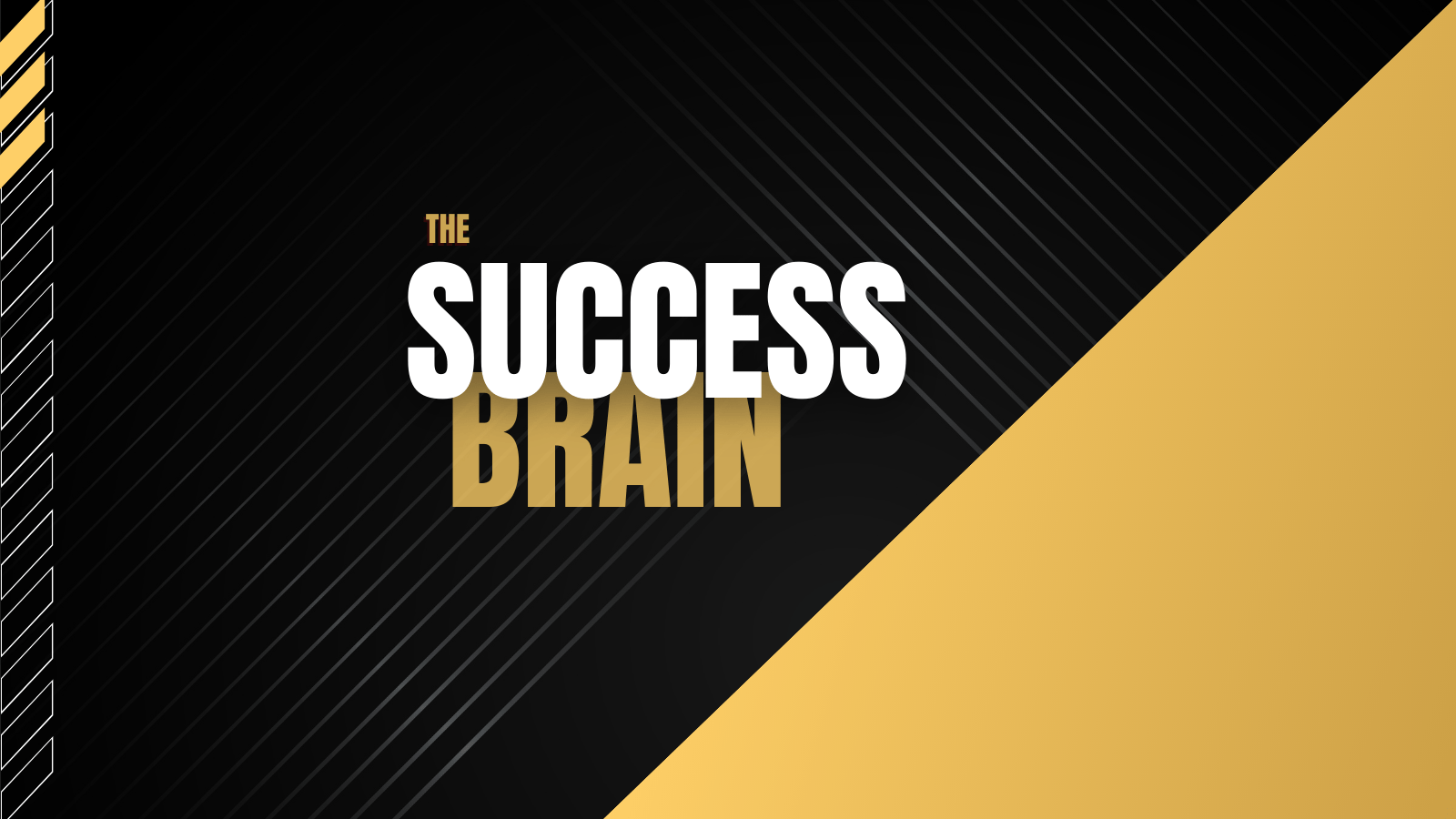 The Success Brain